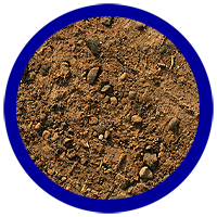 dirt