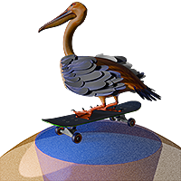 Skateboarder