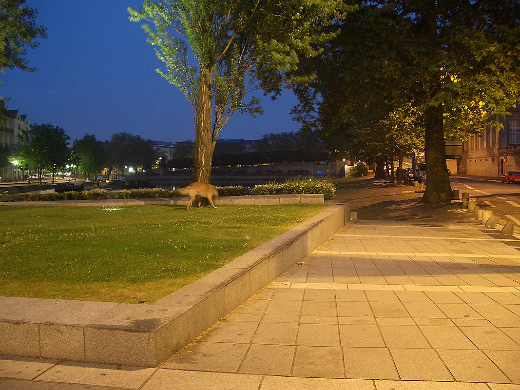 Les 50 Otages Spot Street Nantes Skate Spot 5/5