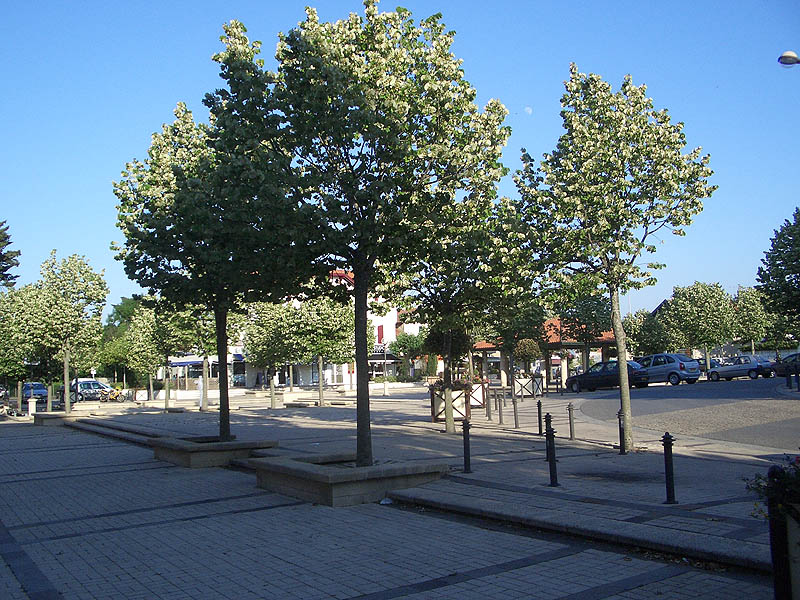 Les Cinq Cantons Plaza Anglet Skate Spot 4/5