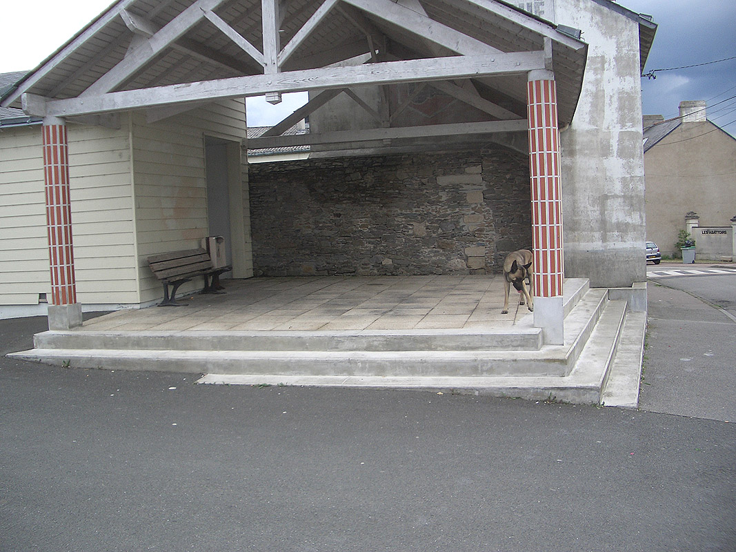 Médiathèque La Pléiade Spot Street Ancenis Skate Spot 3/5