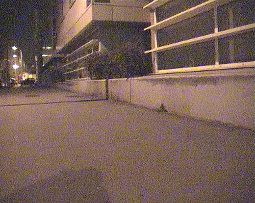 Curb Bleu Montpellier Skate Spot