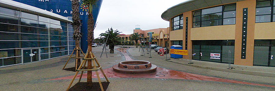 Aquarium Montpellier Skate Spot