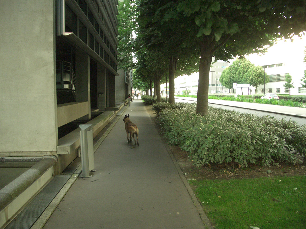 Crédit Mutuel Nantes Skate Spot