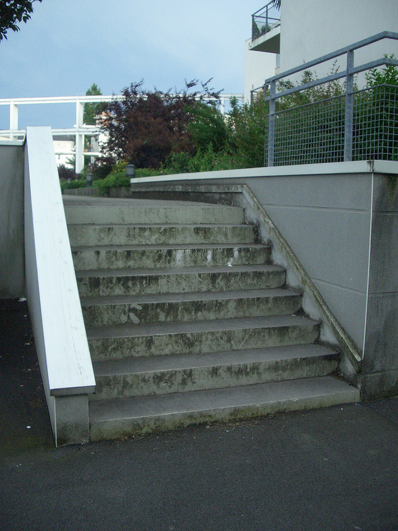 Salicornes Nantes Skate Spot