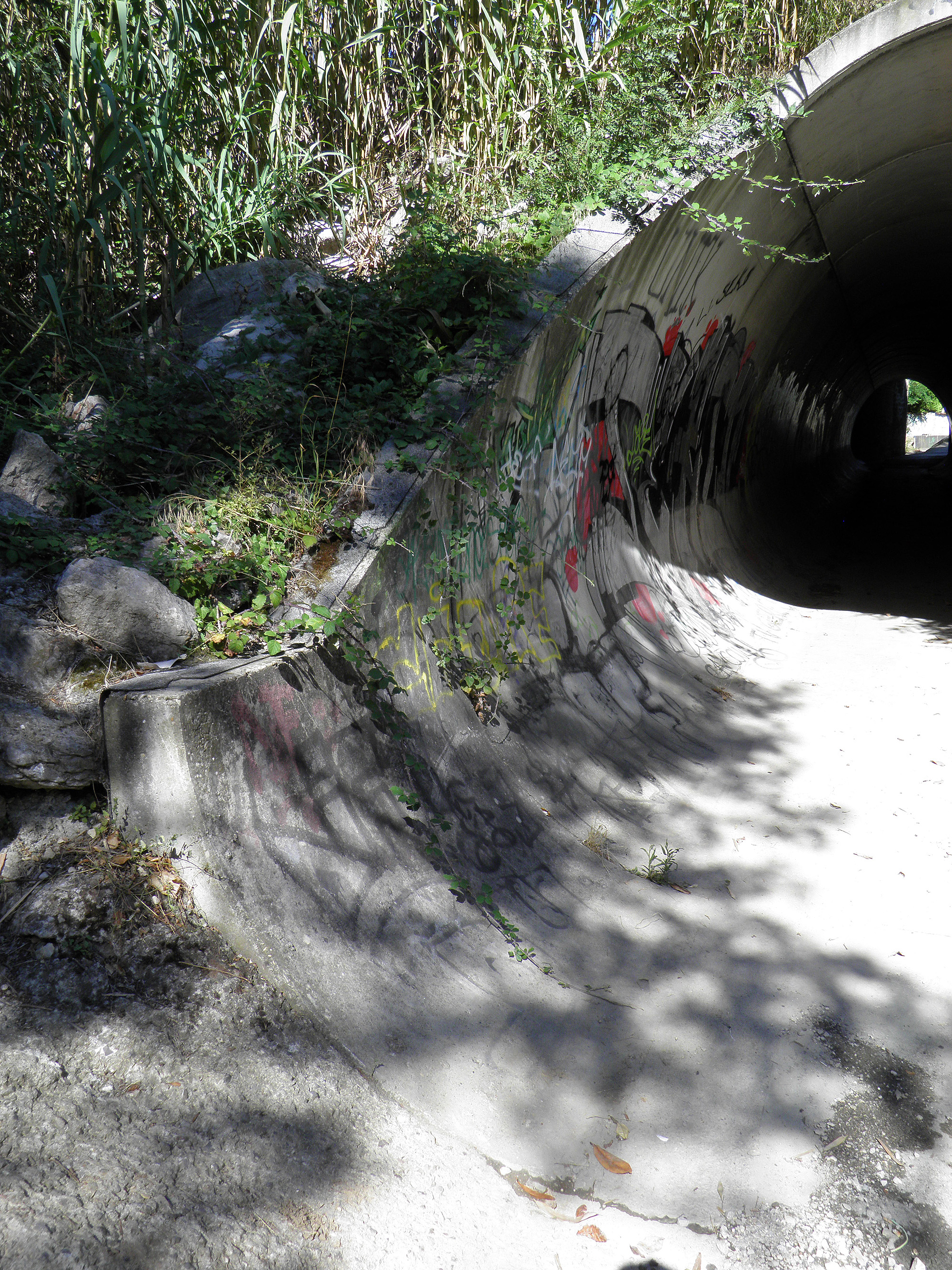 The Tube Juvignac Skate Spot