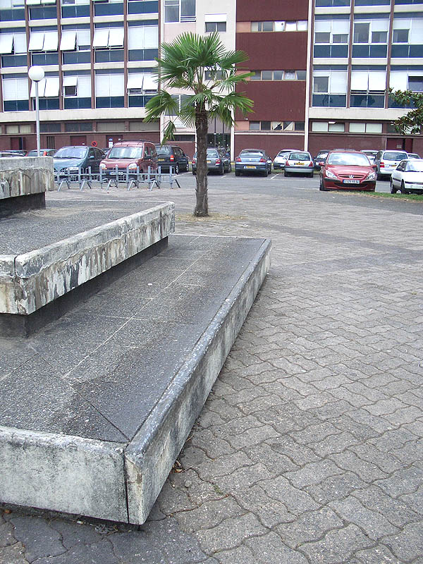 Fac Pau Skate Spot