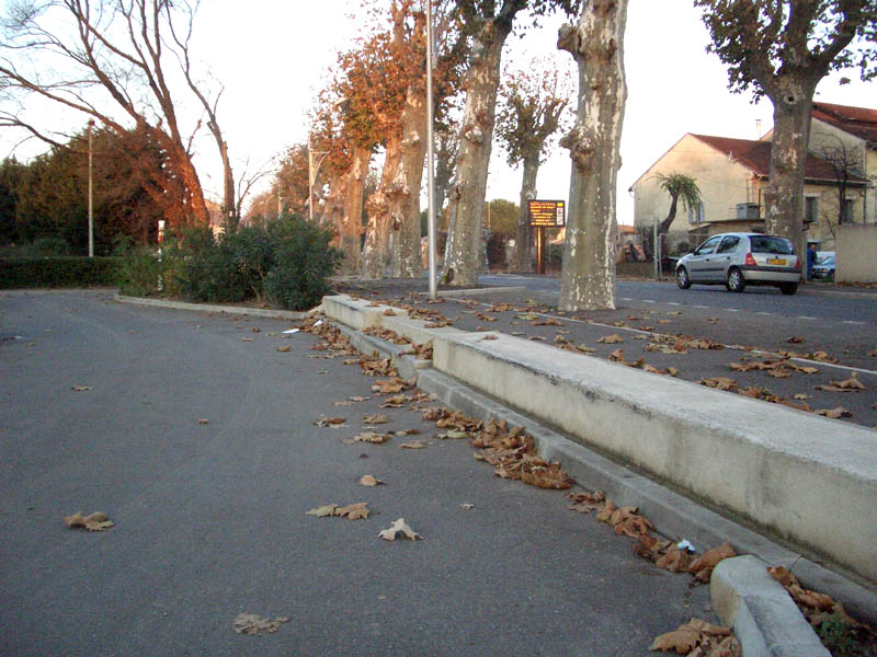 Salle Nelson Mandela Capestang Skate Spot
