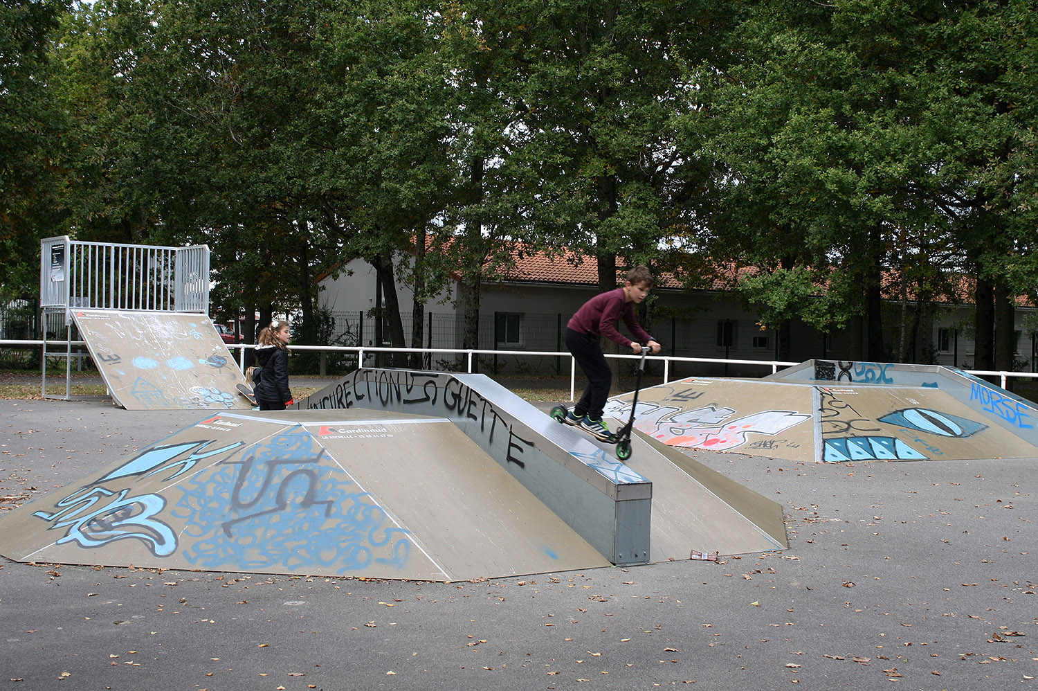 Complexe Dindon Saint Sébastien sur Loire Skate Spot