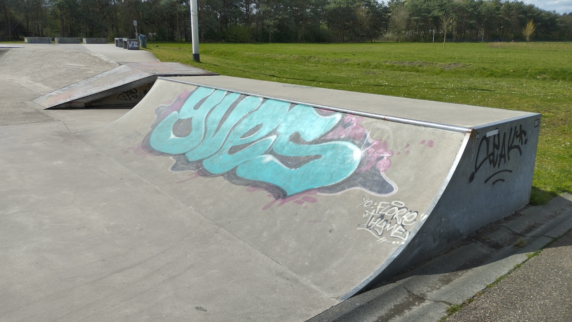 Reeshof Skatepark Tilburg Skate Spot 3/5