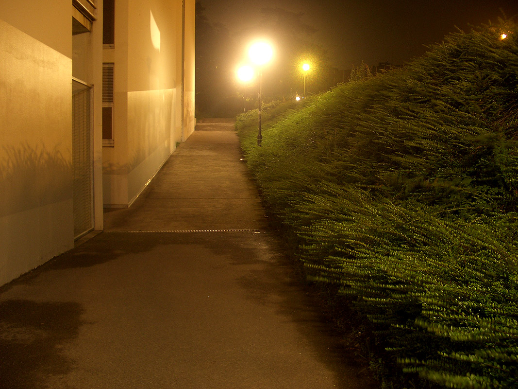 Fac de Lettres Spot Street Nantes Skate Spot 3/5