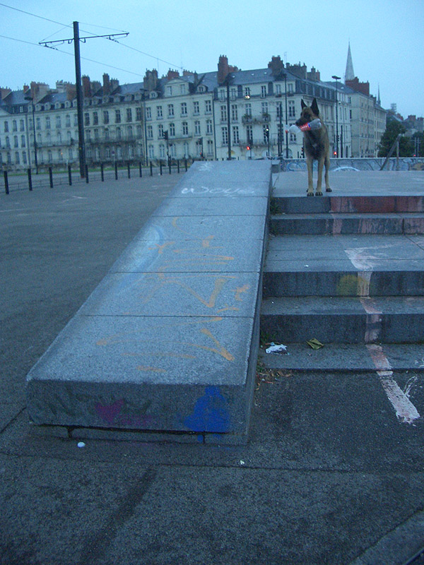 Ricordeau Skatepark Nantes Skate Spot 5/5