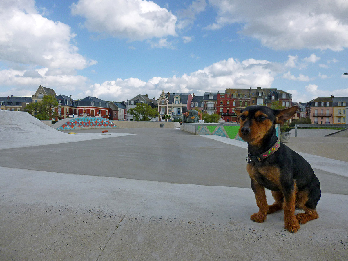 Square du Souvenir Skatepark Mers les Bains Skate Spot 5/5