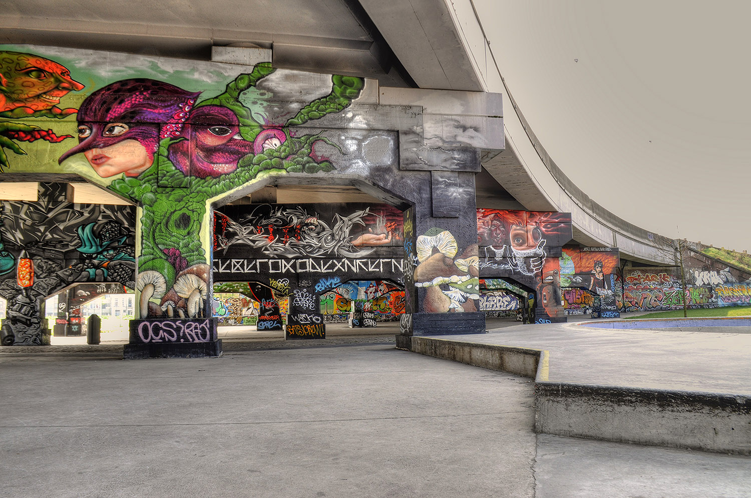 Park Noord Bowl Antwerpen Skate Spot 5/5