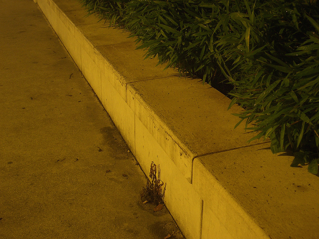 Fac de Lettres Spot Street Nantes Skate Spot 3/5