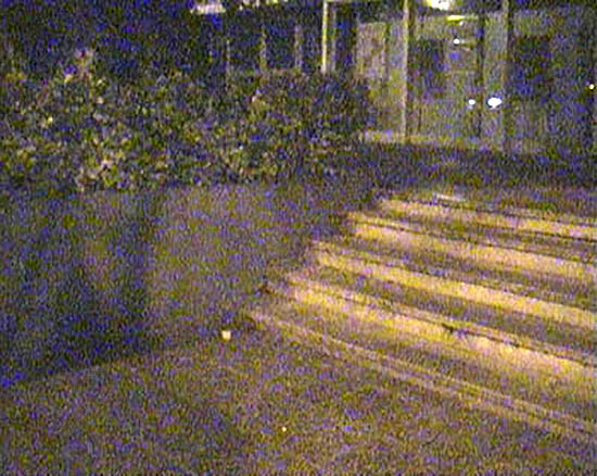 Sécu Spot Street Montpellier Skate Spot 3/5