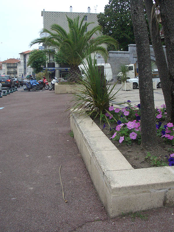 Gare du Midi Biarritz Skate Spot