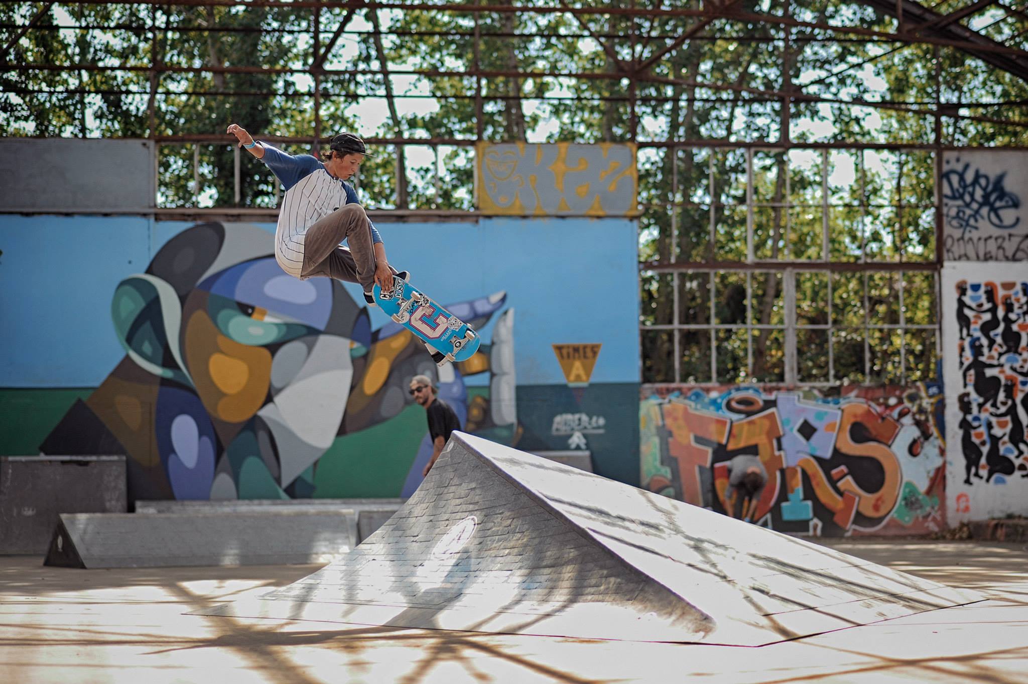 DIY Darwin Bordeaux Skate Spot