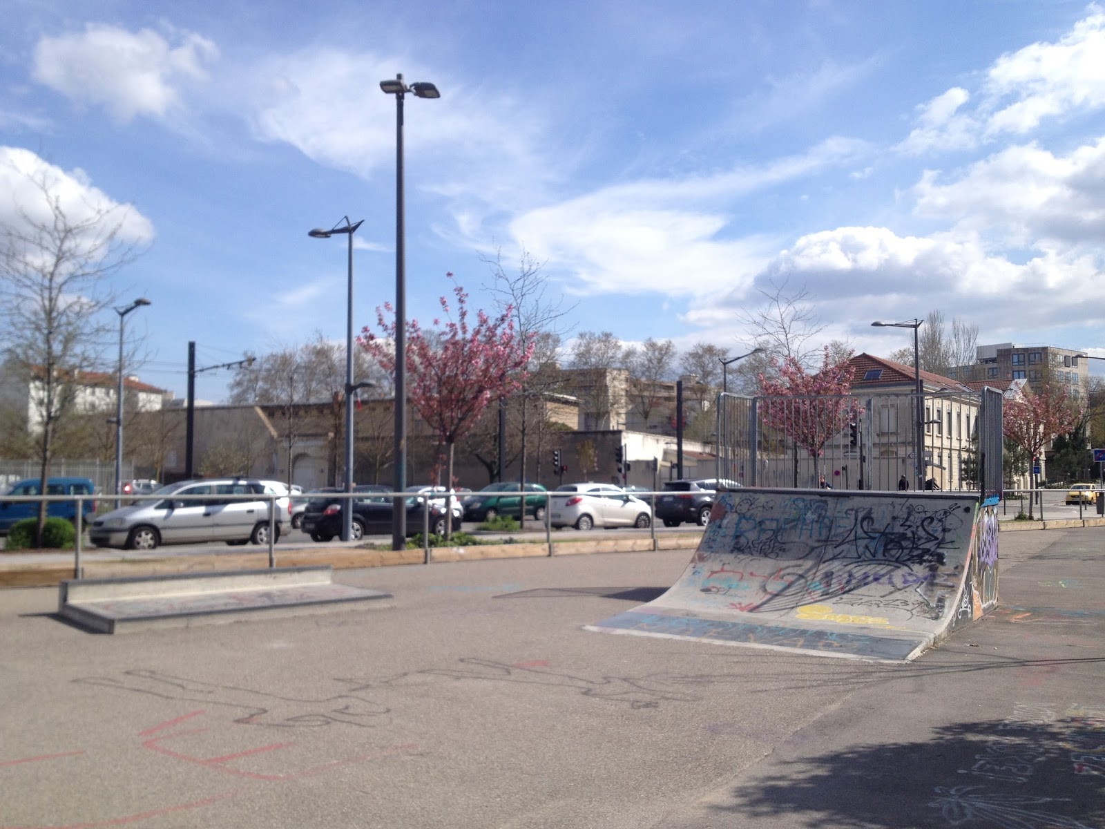 Mouton Duvernet Lyon Skate Spot