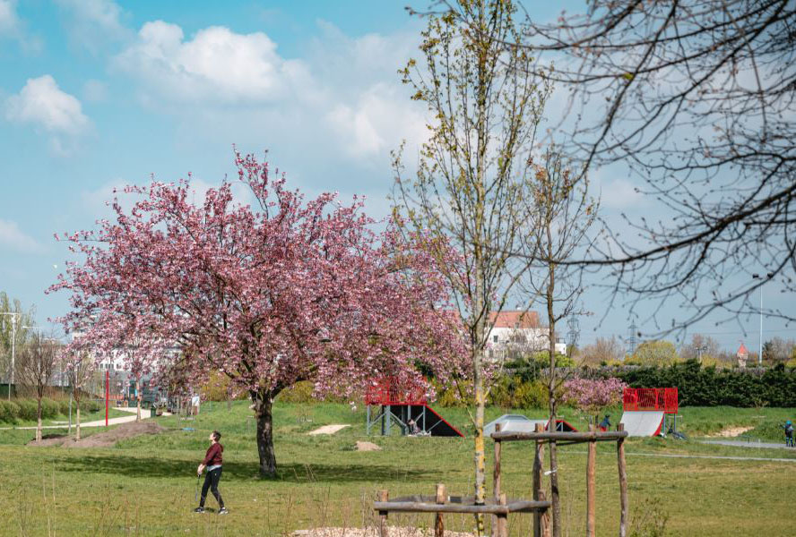 Parc des 33 Hectares Skatepark Neuilly sur Marne Skate Spot 2/5