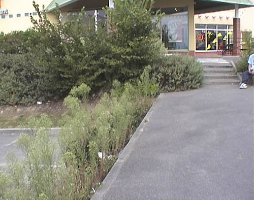Burger King Spot Street Quimper Skate Spot 2/5