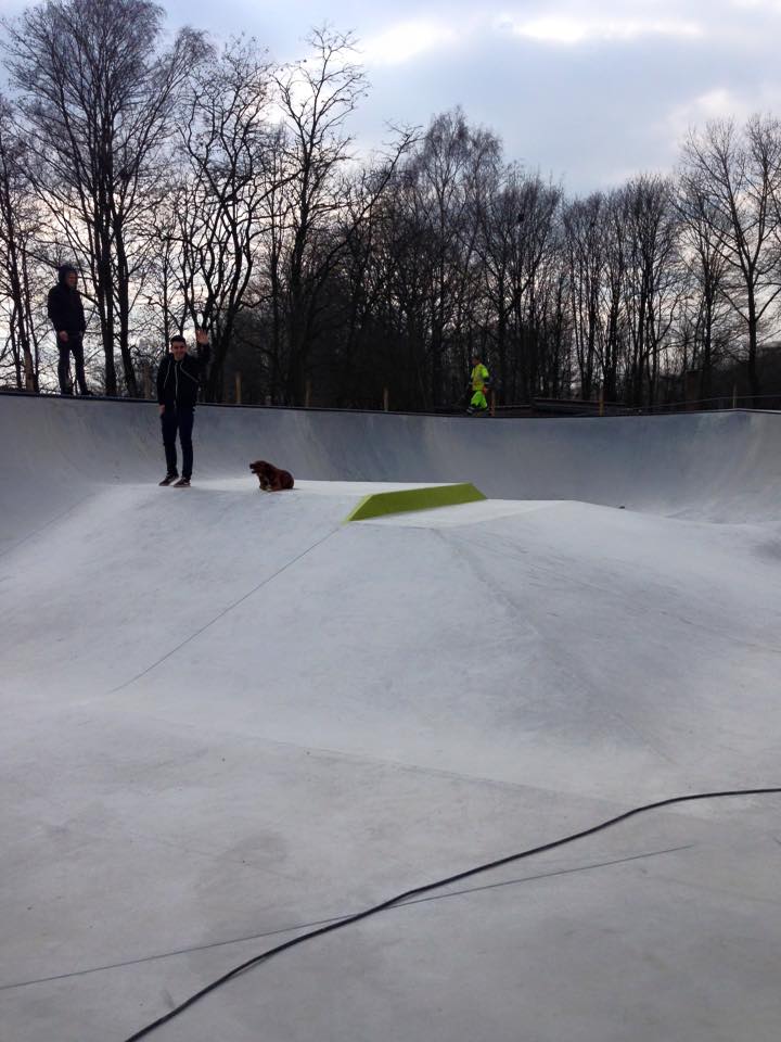 Bospark Skatepark Lokeren Skate Spot 4/5