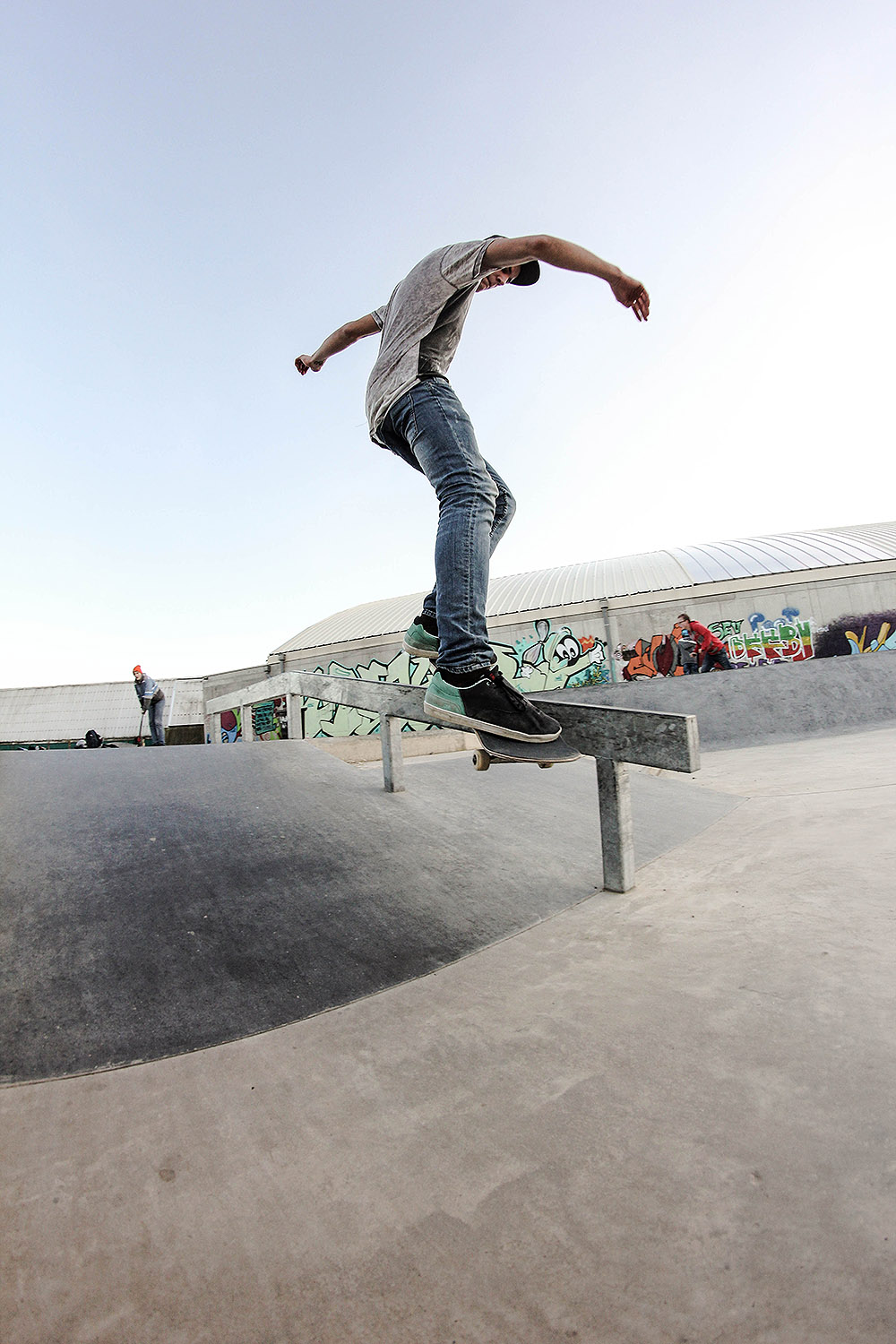 Neuland Skatepark Rosheim Skate Spot 3/5
