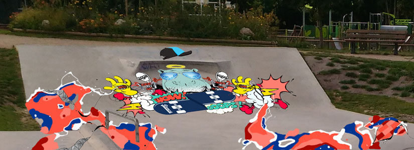 Le bois Leurent Skatepark Roncq Skate Spot 3/5