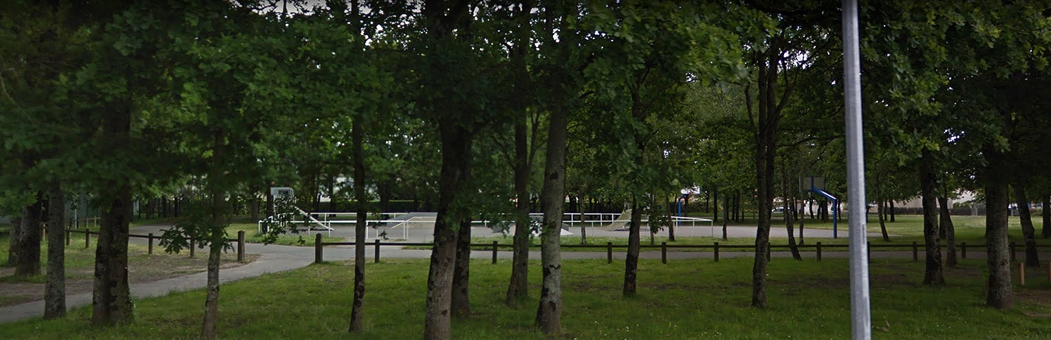 Complexe Dindon Skatepark Saint Sébastien sur Loire Skate Spot 1/5