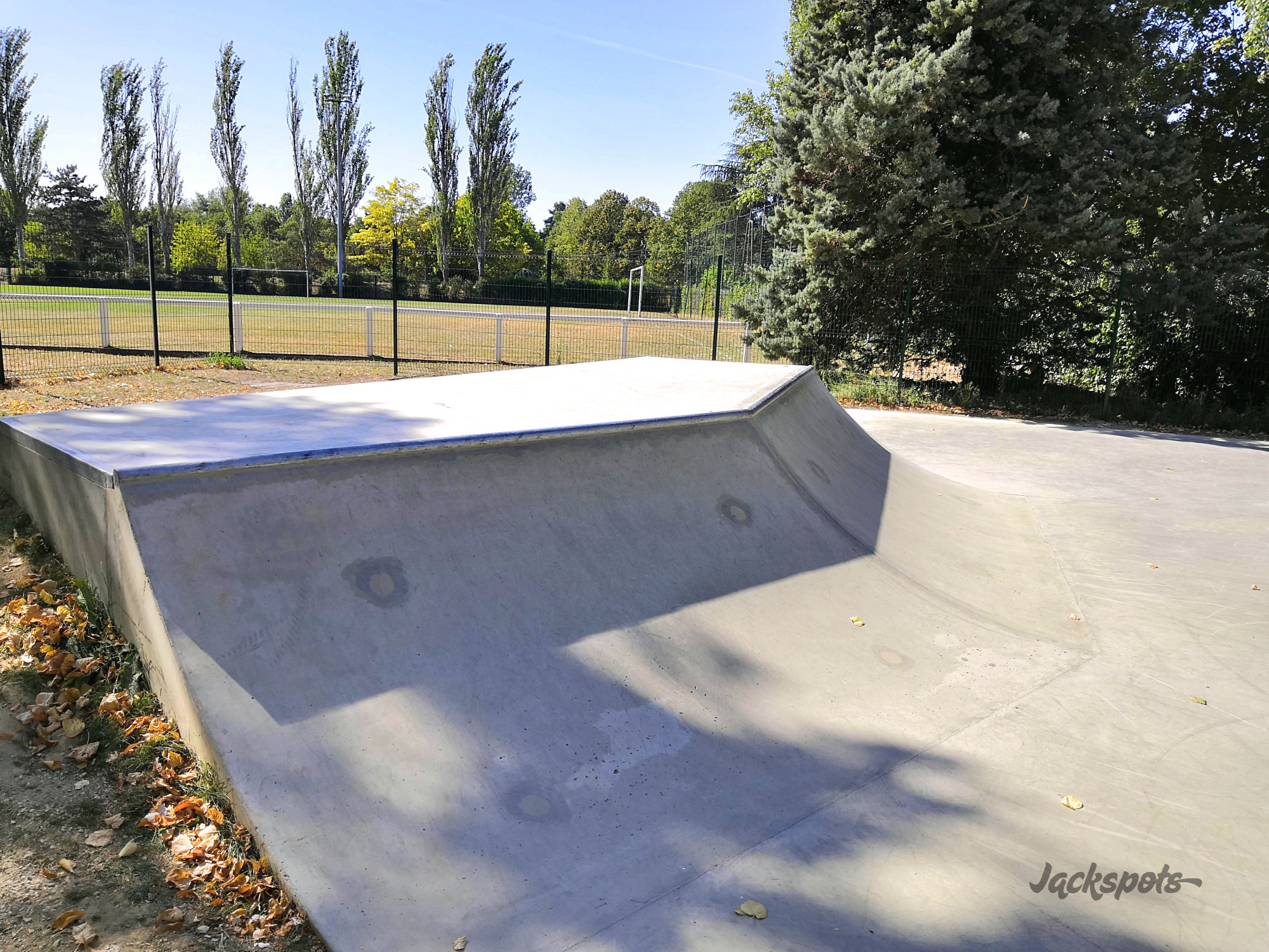Île des İmpressionnistes Skatepark Chatou Skate Spot 3/5