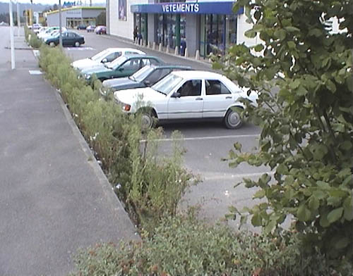 Burger King Spot Street Quimper Skate Spot 2/5