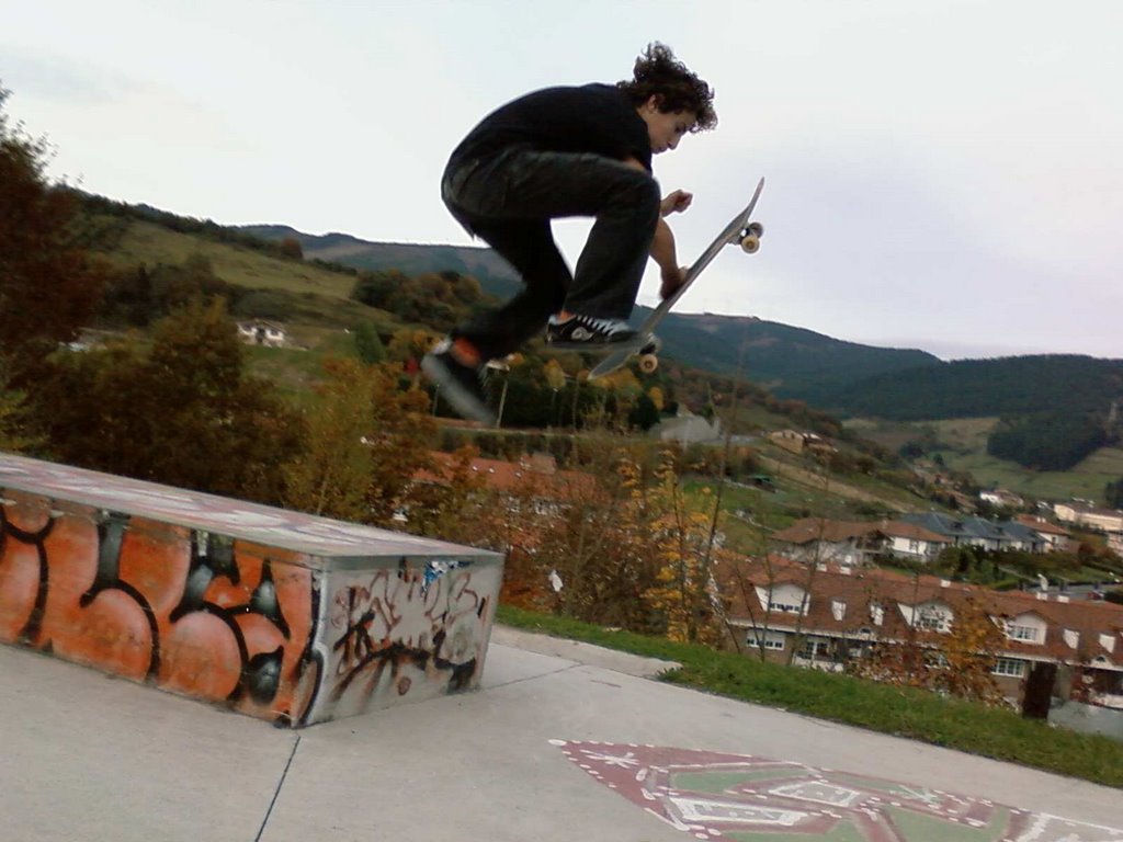 Berriz Bowl Berriz Skate Spot 3/5