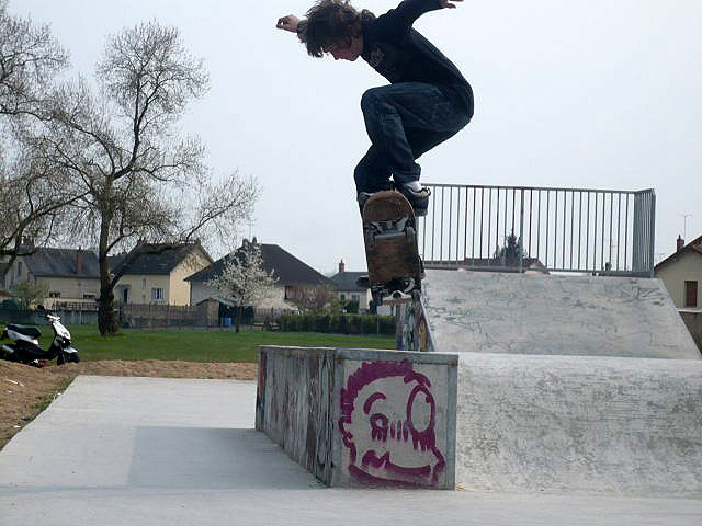 Île de Caqueret Skatepark Decize Skate Spot 2/5