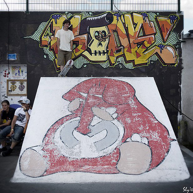 mogwai Skatepark Bressuire Skate Spot 3/5