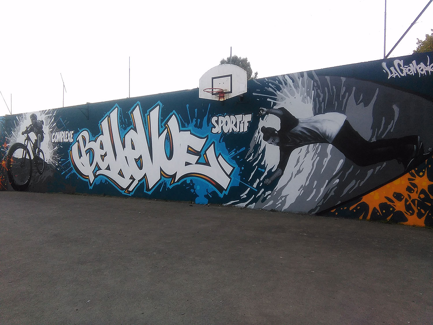 Bellevue Skatepark Guémené-Penfao Skate Spot 1/5