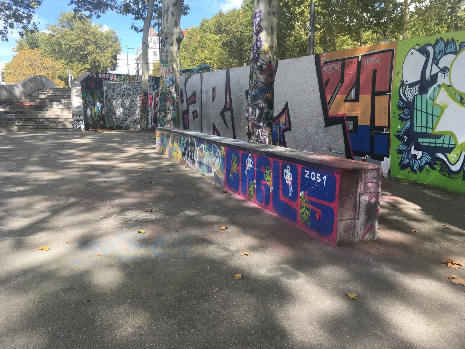 Foch Do It Yourself Lyon Skate Spot 4/5