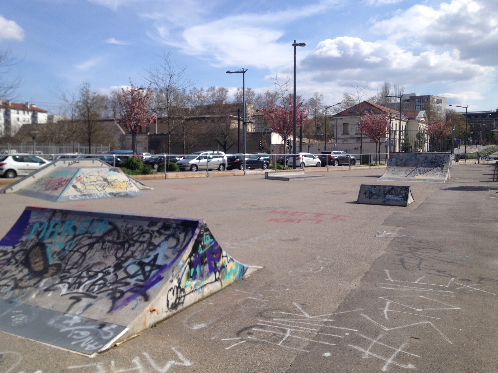 Mouton Duvernet Skatepark Lyon Skate Spot 1/5