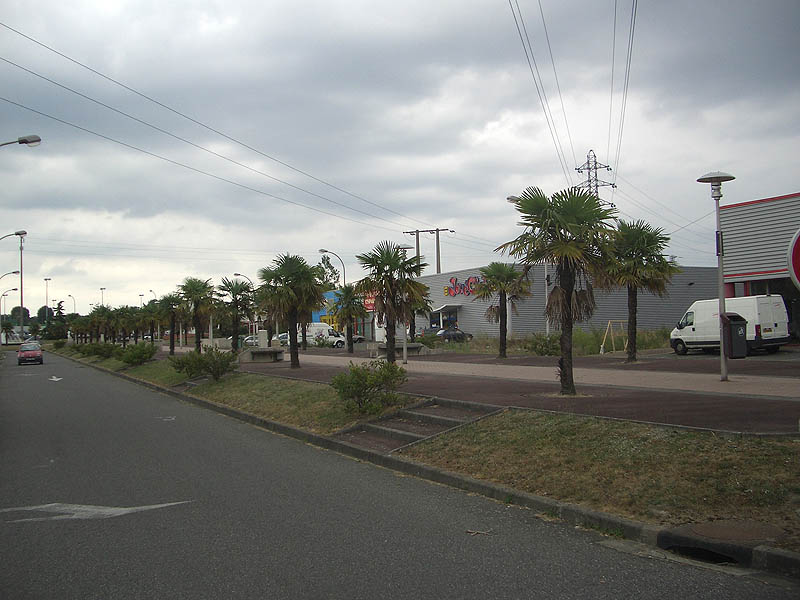 ZA Le Mail Spot Street Lons Skate Spot 3/5