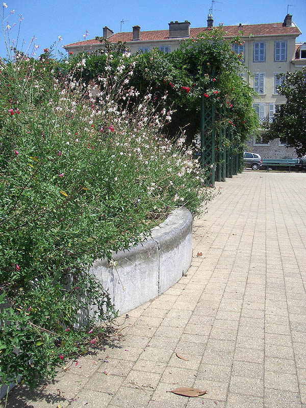 Palais de Justice Spot Street Pau Skate Spot 4/5