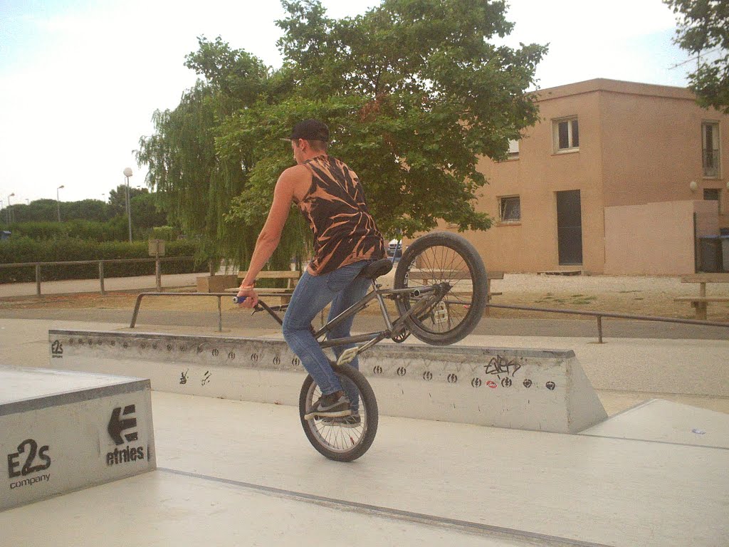 La Germanor Skatepark Cabestany Skate Spot 3/5