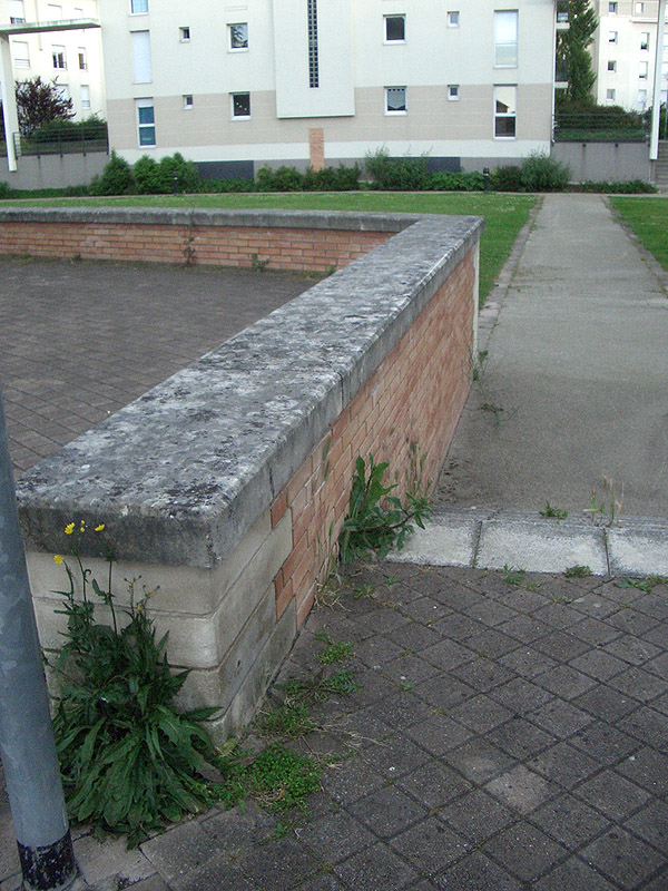 Salicornes Spot Street Nantes Skate Spot 2/5
