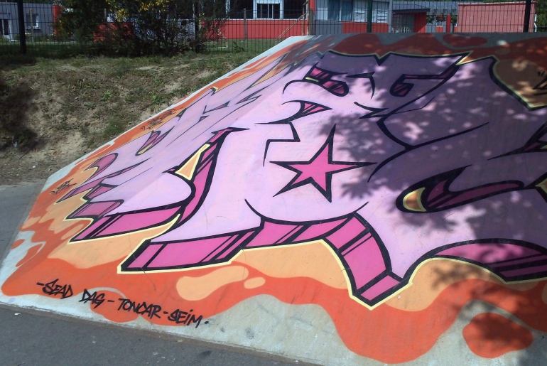 Collège Les Rochers Skatepark Vitré Skate Spot 2/5