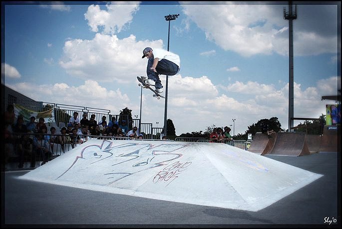 mogwai Skatepark Bressuire Skate Spot 3/5