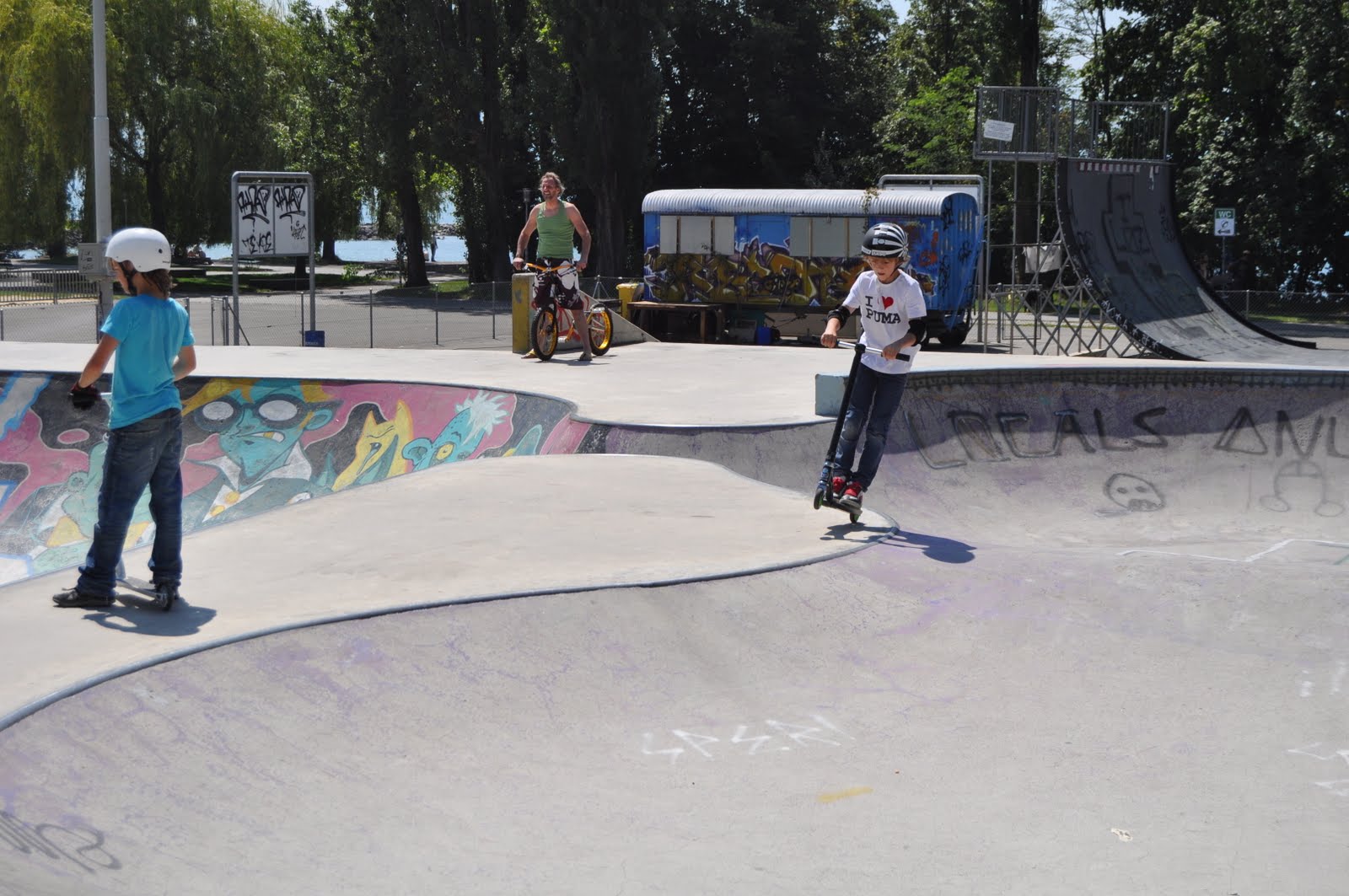 Vidy Bowl Lausanne Skate Spot 4/5