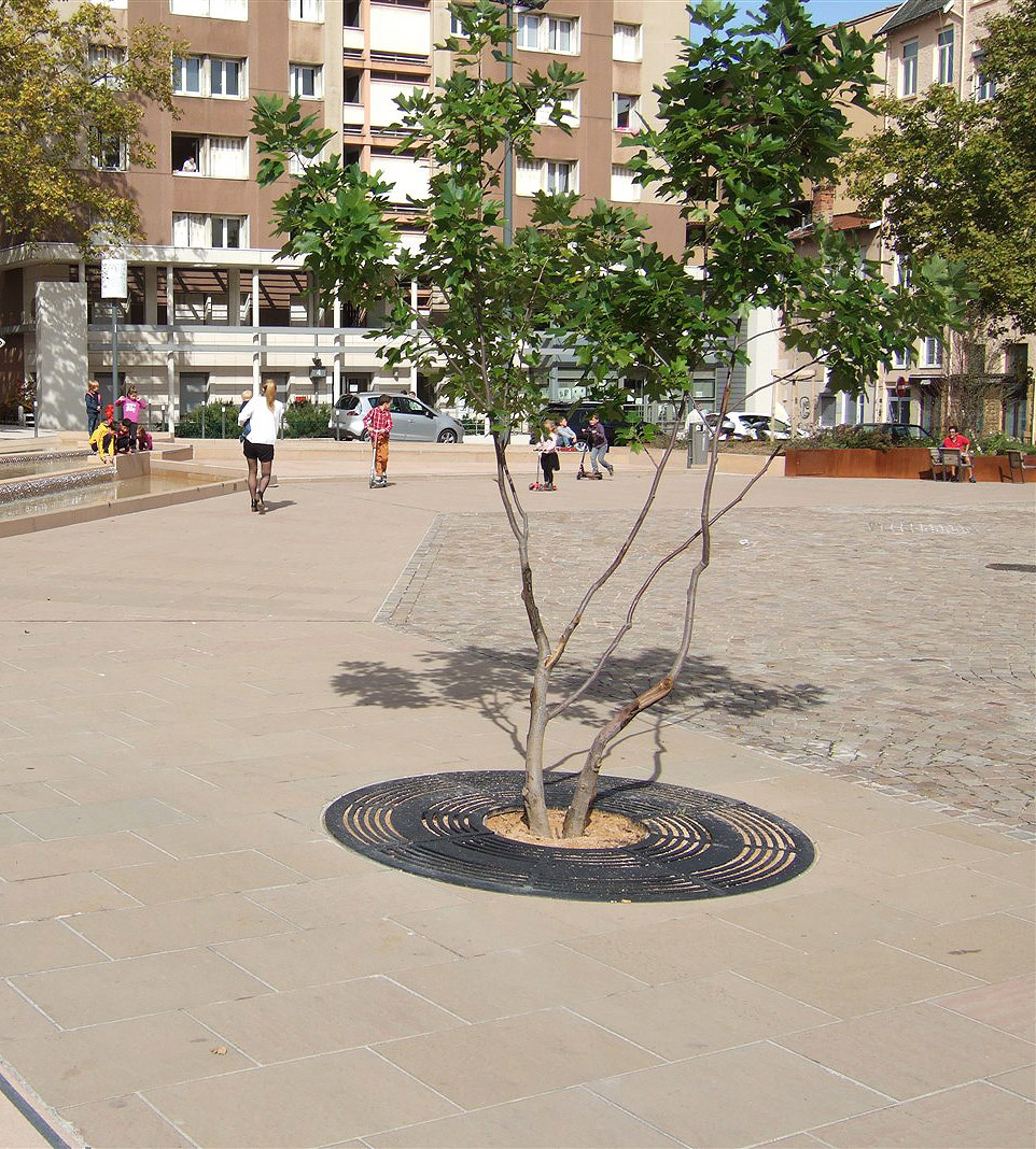Place des Tapis Spot Street Lyon Skate Spot 3/5