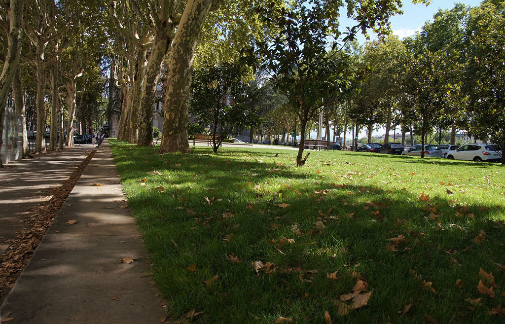 Square Jussieu Spot Street Lyon Skate Spot 3/5