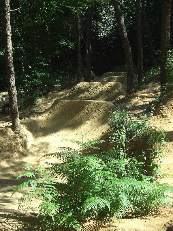 Girouette dirt Dirt Anglet Skate Spot 5/5