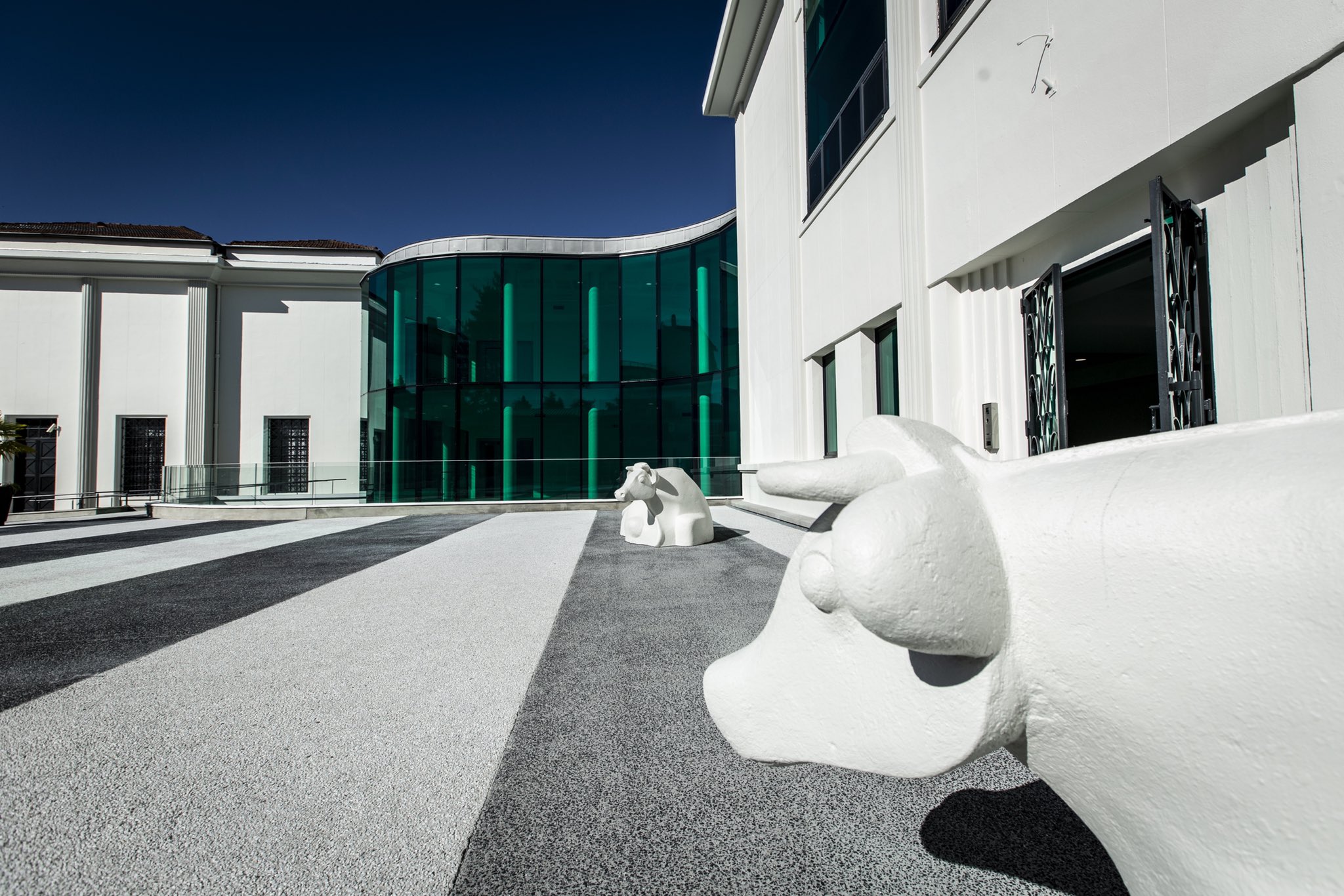 Musée des Beaux Arts Art Pau Skate Spot 3/5