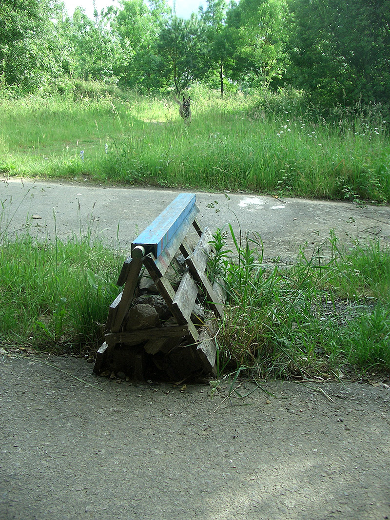 Bellevue Do It Yourself Ste Luce sur Loire Skate Spot 4/5