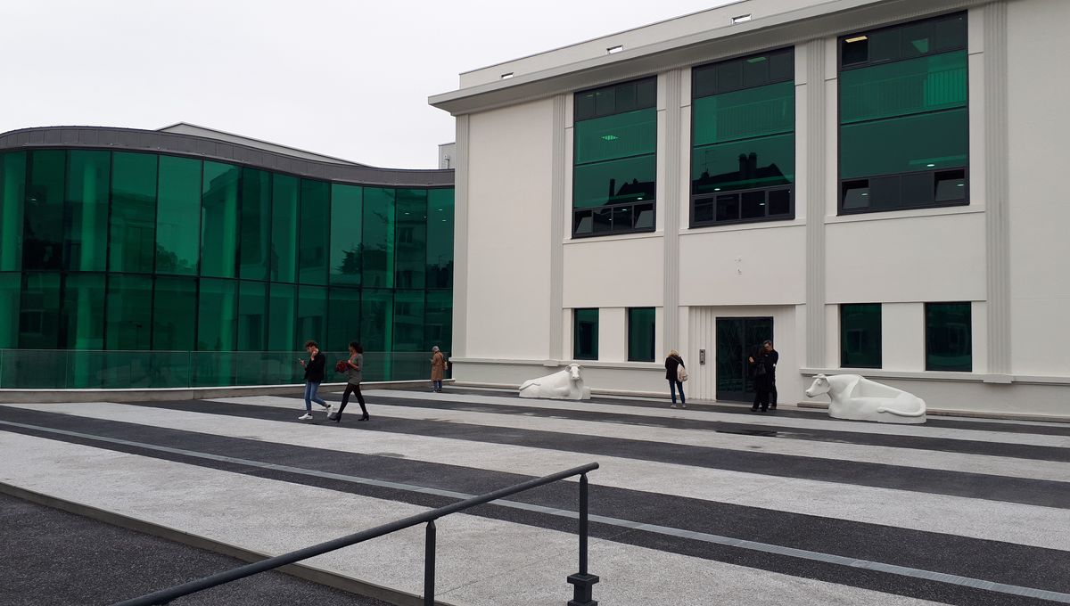 Musée des Beaux Arts Art Pau Skate Spot 3/5